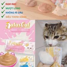 Aatas Cat cream sốt súp thưởng cho mèo 16g